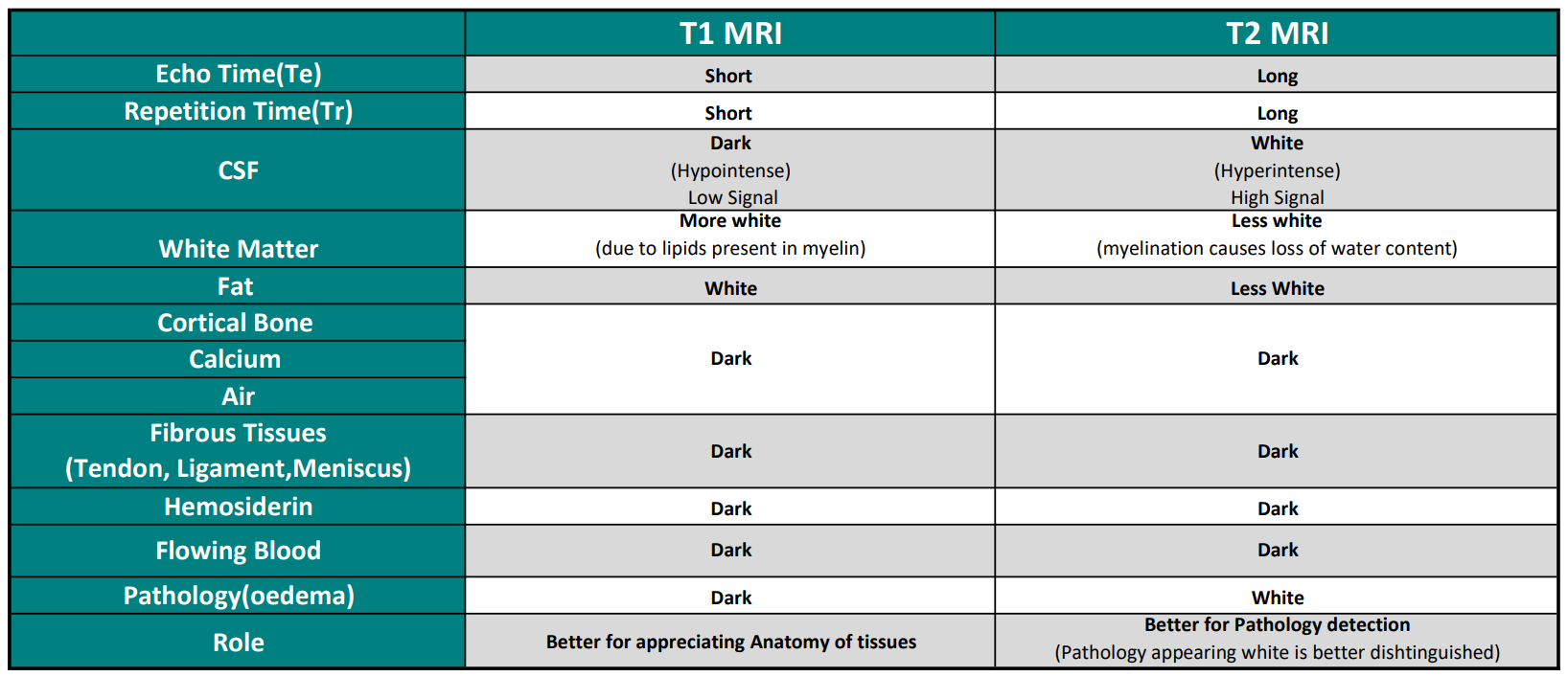 T And T Weighted Mri Generation